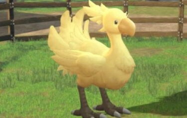 【FF7EC】ミッションで貰えるのチョコボBって共通でゴミなの？？？